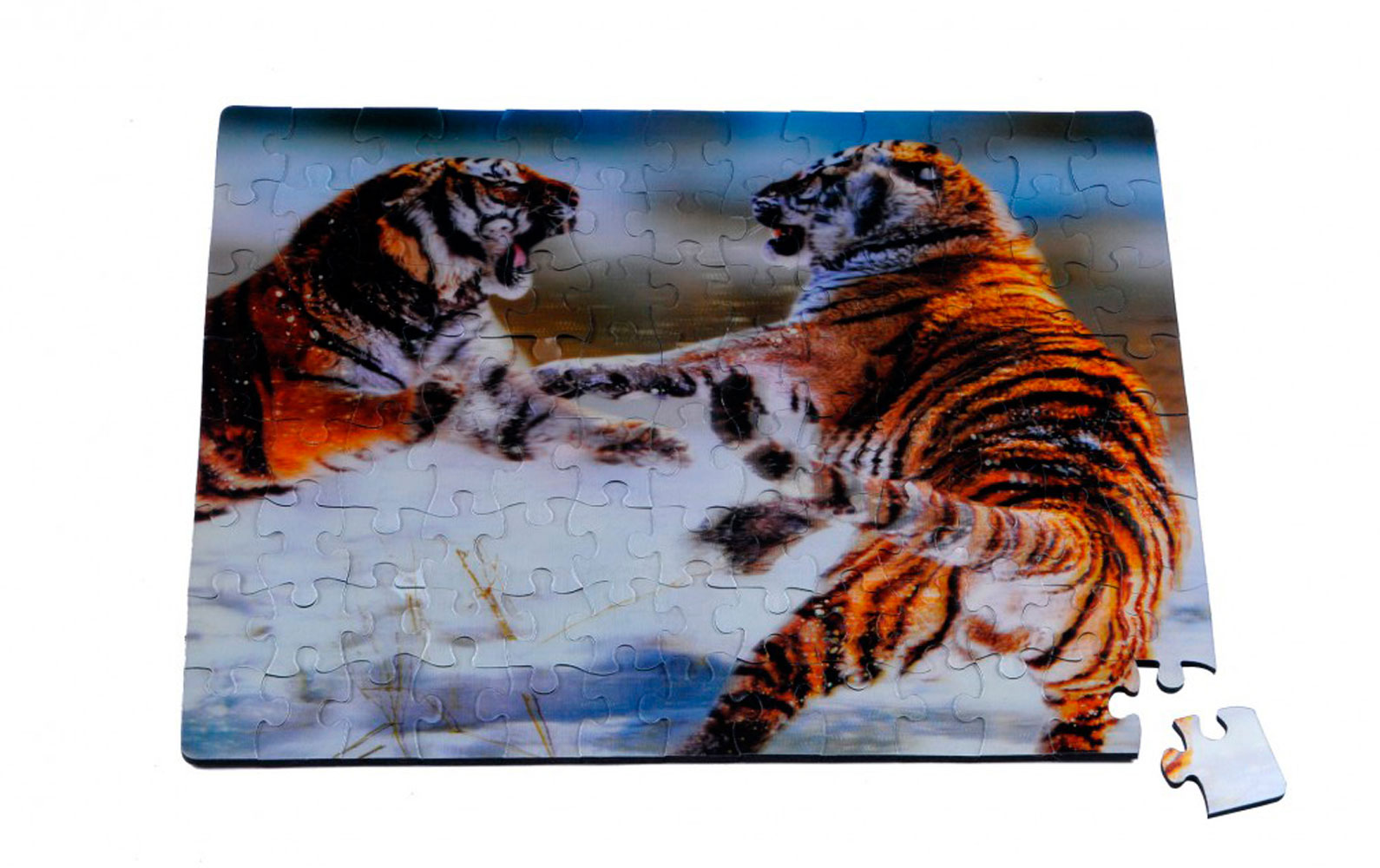 The Purple Cow Puzzle 3D  - Sibiřští bojující tygři 104 dílků | ♥ DITIPO.cz